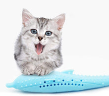 Load image into Gallery viewer, Cat Fish Shape Toothbrush with Catnip, Pet Eco-Friendly Silicone Molar Stick Teeth Cleaning Toy for Cats

