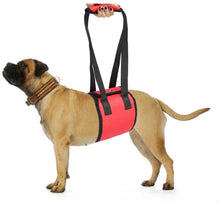 Load image into Gallery viewer, Dog Auxiliary Belt Dog Lift Support Harness Rehabilitation Harness Assist Sling Pet Walking Aids for Elderly Injured Disabled
