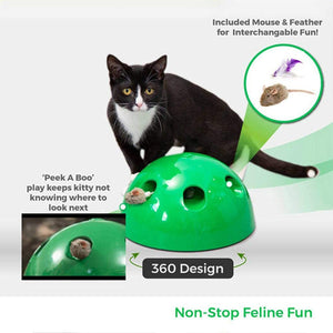 Cat Interactive Motion Toys, Cat Feather Mice Teaser Toys with Smart Electronic Random Moving Feather and Mouse, Cat Teaser Toys for Cats and Kittens