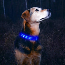 Load image into Gallery viewer, LED Dog Collar to Keep Your Dog Safe Money Back Guarantee High Quality Flashing Dog Collar with Extra Batteries
