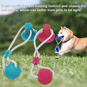 Pet Molar Bite Toy, Multifunction Interactive Ropes Toys, Self-Playing Rubber Chew Ball Toy with Suction Cup for Chewing, Teeth Cleaning