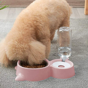 Double Pet Feeder Bowls with Automatic Waterer Bottle