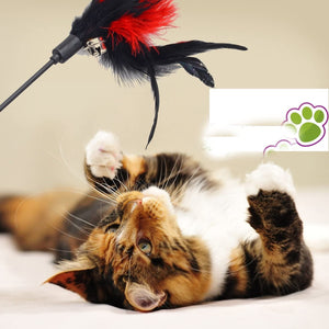 Cat Toy Stick Color Vary Feather with Bell Teaser and Exerciser Wand for Cat and Kitten
