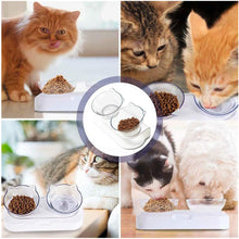 Load image into Gallery viewer, Double Pet Bowl, Transparent Pet Feeding Bowl for Cats and Small Dogs (set of 2 transparent)
