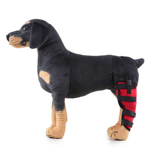 Adjustable Supportive Dog Canine Rear Leg Hock Joint Wrap Protects Wounds Heal Compression Brace Heals and Helps Arthritis