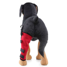 Load image into Gallery viewer, Adjustable Supportive Dog Canine Rear Leg Hock Joint Wrap Protects Wounds Heal Compression Brace Heals and Helps Arthritis
