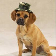 Pet Hat Dog Sun Hat Bucket Style Round Brim Printed Cotton Fashionable Hat with Adjustable Chin Strap