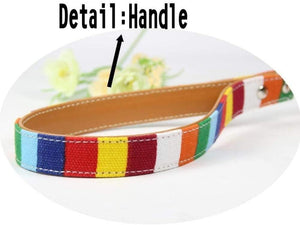 Leather Dog Collar Leash Set Pu Leather Material Size S M L XL Colorful Rainbow Pet Dog Collar and Leash Set