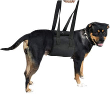 Load image into Gallery viewer, Dog Auxiliary Belt Dog Lift Support Harness Rehabilitation Harness Assist Sling Pet Walking Aids for Elderly Injured Disabled
