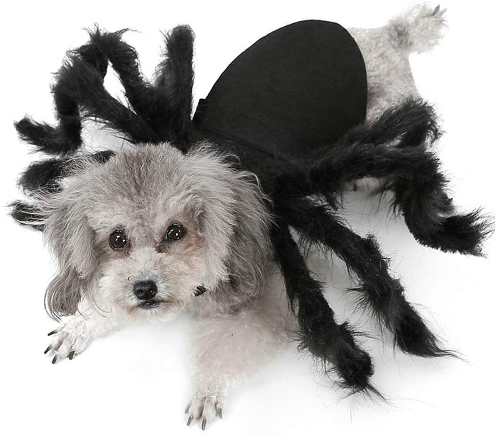Spider Costume Halloween Pets Simulation Plush Spider Clothe with Adjustable Neck Paste Buckle for Dog Cats Pet