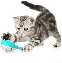 Load image into Gallery viewer, Cat Pet Toothbrush, Fish Shape Built-in Small Bell, Refillable Catnip Simulation Fish Teeth Cleaning 2 in 1 Chew Toys
