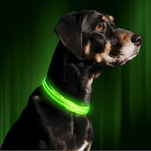 LED Dog Collar to Keep Your Dog Safe Money Back Guarantee High Quality Flashing Dog Collar with Extra Batteries