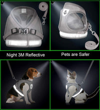 Load image into Gallery viewer, Dog and Cat Universal Harness with Leash Set, Escape Proof Cat Harnesses - Adjustable Reflective Soft Mesh Corduroy
