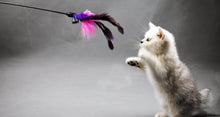 Load image into Gallery viewer, Cat Toy Stick Color Vary Feather with Bell Teaser and Exerciser Wand for Cat and Kitten
