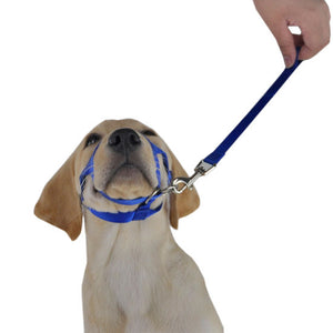 Nylon Adjustable Dog Muzzle Prevent from Biting, Barking and Chewing Safety Dog Mouth Cover Dog Nylon Muzzle