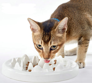 Slow Feeder cat Bowl Ceramic Fun Slow Feed Interactive Bloat Stop Puzzle for Healthy Eating Diet
