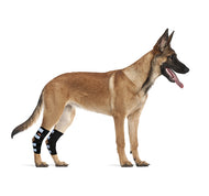 Dog Rear Leg Braces [Pair] Canine Wraps with Safety Reflective Straps for Injury and Sprain Protection, Healing and Loss of Stability from Arthritis