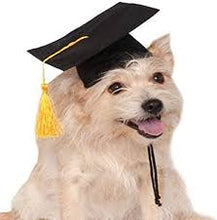 Load image into Gallery viewer, Graduation Hat Pet Accessories Black Graduation Hat with Adjustable Rope Design Pet Costume Hat
