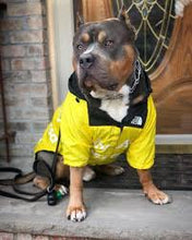 Load image into Gallery viewer, Dog Raincoat Rain Jacket Waterproof Winter Clothes Windproof Dog Jacket Fashion Pet Clothing for Medium Large Dogs
