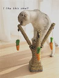Upright Fork Type Sisal Rope Cat Kitty Kitten Scratching Posts Scratch Board Pad with 3 Carrots Shape Toy, Pet Animal Climbing Frame Tree Play