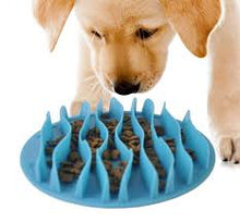 Load image into Gallery viewer, Pet Fun Slow Feeder Bowl Interactive Bloat Stop Eco-Friendly Durable Food Bowls
