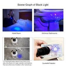 Load image into Gallery viewer, Portable UV Light with 9 LEDs, 395nm, Ultraviolet Light Detector for Invisible Ink Pens, Dog Cat Pet Urine Stain UV Blacklight Flashlight
