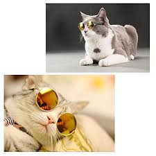 Cat Dog Sunglasses Pet Eye-wear for Small Doggy Pet Products Photos Props Accessories Pet Supplies Cats Glasses Fashion Trend