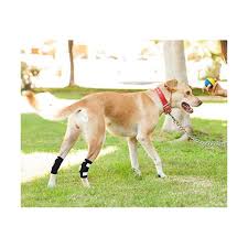 Dog Rear Leg Braces [Pair] Canine Wraps with Safety Reflective Straps for Injury and Sprain Protection, Healing and Loss of Stability from Arthritis